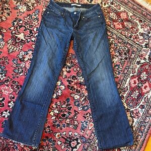 Joe's Jeans Dark Blue Flare Women's Jeans